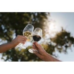 Secretos del Vino: La Perelada Más Auténtica