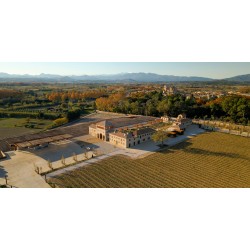 Secrets del Vi: La Perelada Més Autèntica
